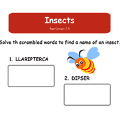 Jumbled Words Worksheet - Insects