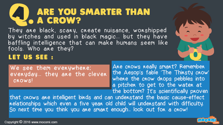 How smart are Crows?