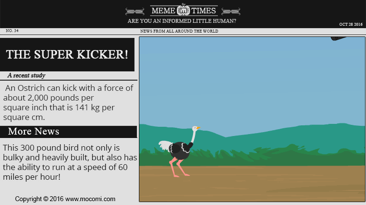 Ostrich: The Super Kicker!