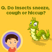 Do insects sneeze?