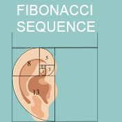 What is Fibonacci Series?