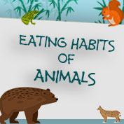 Eating Habits of Animals