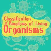 Kingdom Classification of Living Organisms