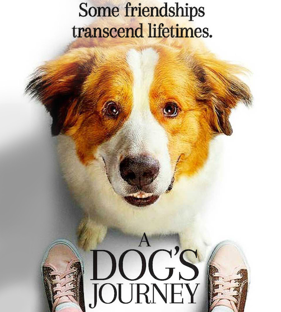 A Dog’s Journey &#8211; Movie Review