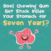 What happens if you swallow gum?